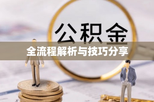 延安全流程解析与技巧分享